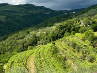 Salita di Scaglia von Cazzano di Tramigna