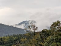 Salm from Grandfontaine