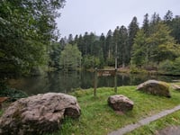 Salm from Grandfontaine