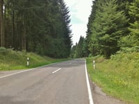 Salmwald von Mürlenbach