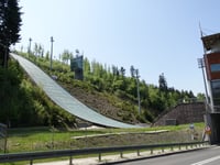Salmopol von Rybarzowice