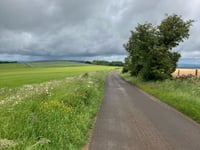 Salter's Lane z Hailes