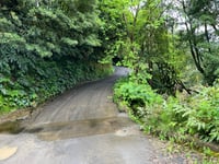 Salto do Cavalo von Lomba da Maia