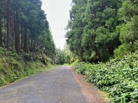 Salto do Cavalo from Povoação