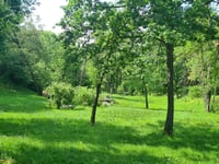 Salvizinet da Bonnassieux