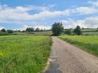 Salvizinet da Pélussieux