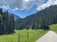 Salzmatt from Sangernboden