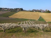 San Biagio Vecchio via Monte Riccio
