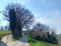 San Biagio Vecchio via Via di Oriolo