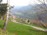 Alino von San Giovanni Bianco