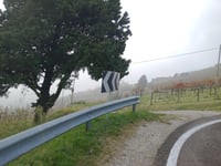 Strada degli Ulivi da Nanto