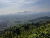 Strada degli Ulivi depuis Nanto
