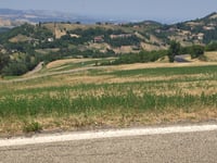 San Pellegrinetto da Sassuolo