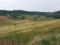 San Salvatore Monferrato von Valenza über Zanangelo