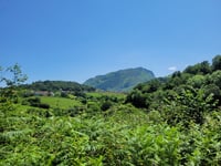 Monte de la Roza / San Xuan via La Roza