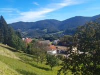 Sand vanuit Bühl