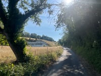 Sandpits Down von West Woodhay