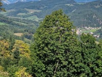 Sankt Corona am Wechsel von Kirchberg am Wechsel
