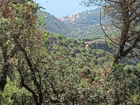 Sant Grau desde Salionç