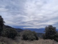 Sant Martí Sacalm z Amer
