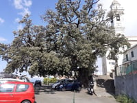 Santa Giulia von Lavagna