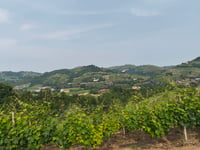Salita 'Claudio Chiappucci' von Santo Stefano Belbo