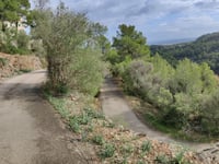Puig de Santa Llúcia von Mancor de la Vall