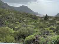 Santiago del Teide von Los Gigantes