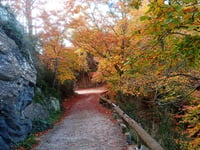 Santuari de la Mare de Déu de Bellmunt from Sant Pere de Torelló