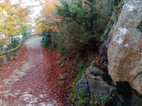 Santuari de la Mare de Déu de Bellmunt from Sant Pere de Torelló