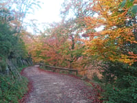 Santuari de la Mare de Déu de Bellmunt from Sant Pere de Torelló
