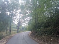 Santuari de la Mare de Déu de Falgars von Guardiola de Berguedà