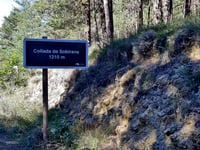 Santuari de la Mare de Déu de Falgars von Guardiola de Berguedà
