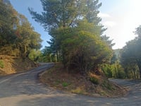 Santuari de la Mare de Déu del Coll d'Osor from Osor