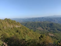 Santuari de la Mare de Déu dels Munts von Santa Creu de Jutglar