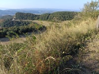 Santuari de la Mare de Déu dels Munts from Santa Creu de Jutglar