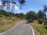 Santuário da Peninha von Azóia