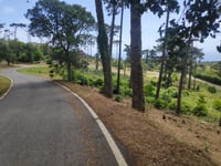 Santuário da Peninha von Azóia