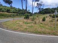 Santuário da Peninha von Azóia