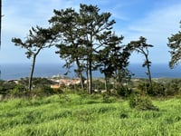 Santuário da Peninha von Azóia