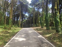 Santuário da Peninha da Murches