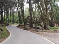 Santuário da Peninha from Quinta do Pisão