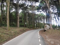 Santuário da Peninha from Quinta do Pisão