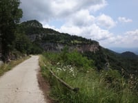 Santuario de Santa María de Montgrony depuis Gombrèn