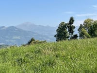 Santuario di Altino depuis Gaverina Terme