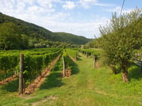 Santuario di Castelmonte / Stara Gora vanuit Cividale del Friuli