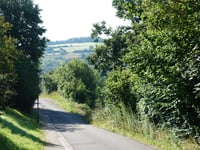 Sarrebourg-Strasse über Blümchesfeld