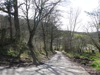 Sasserotte via Chaufheid