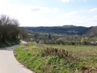 Sasserotte via Chaufheid