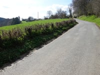 Sasserotte